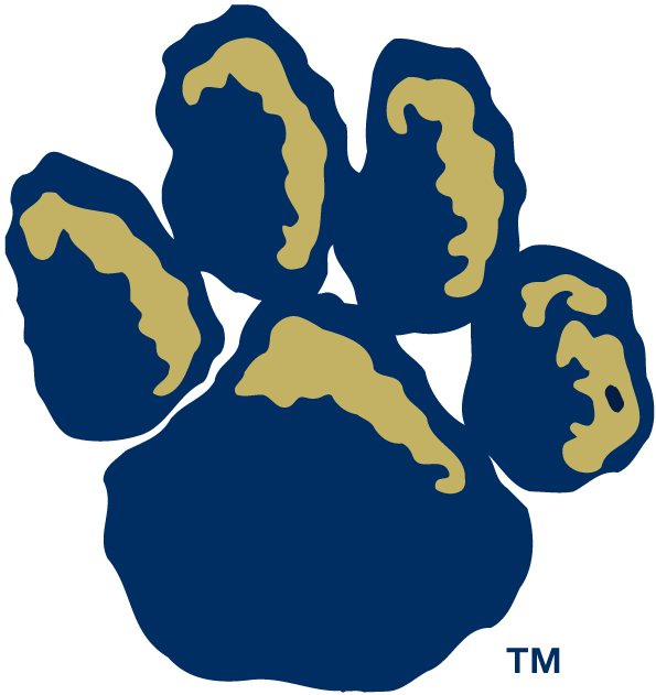 Pittsburgh Panthers 1997-2018 Alternate Logo iron on paper